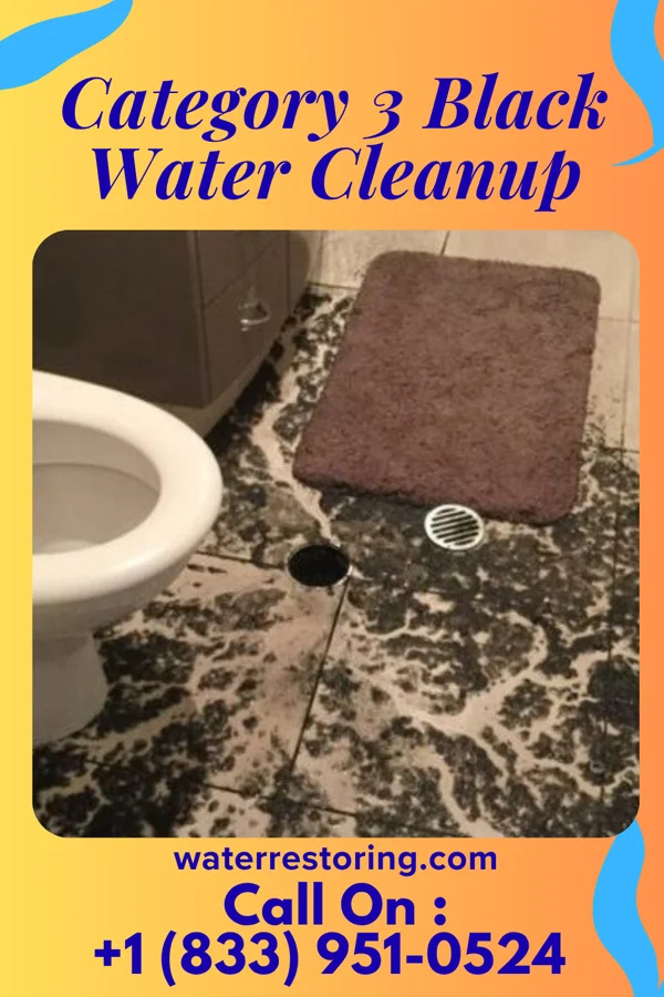 Category 3 Black Water Cleanup in Shannondale, WV