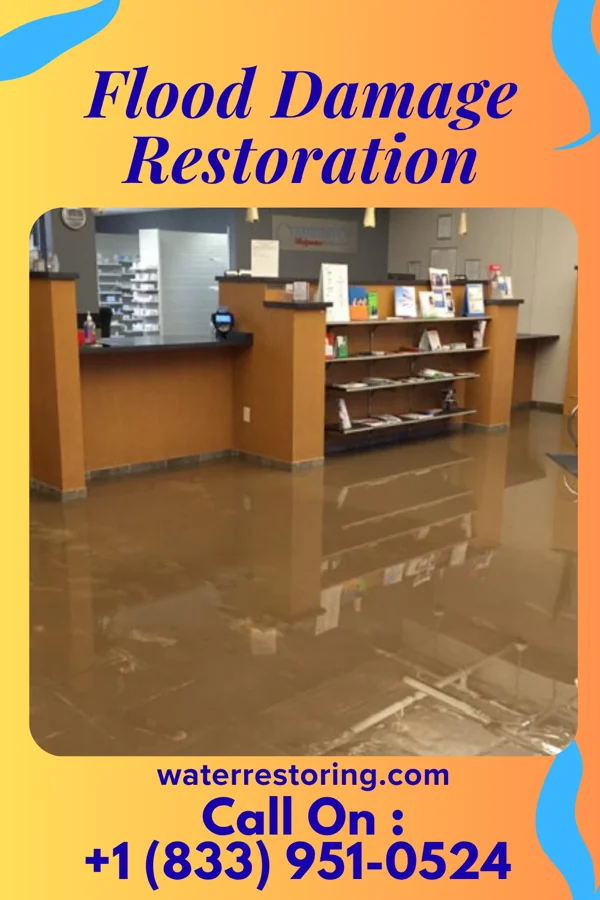 Flood Damage Restoration in Shannondale, WV