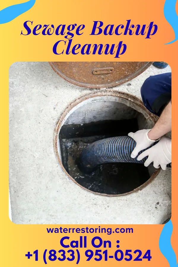 Sewage Backup Cleanup in Shannondale, WV