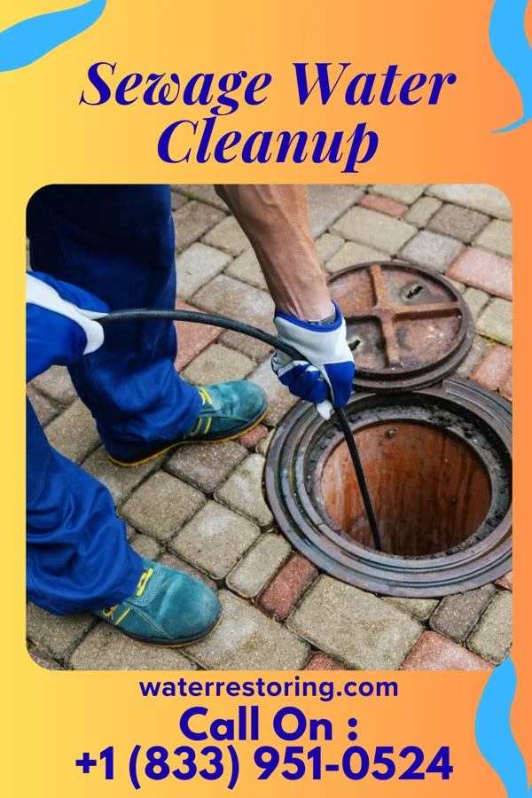 Sewage Water Cleanup in Shannondale, WV